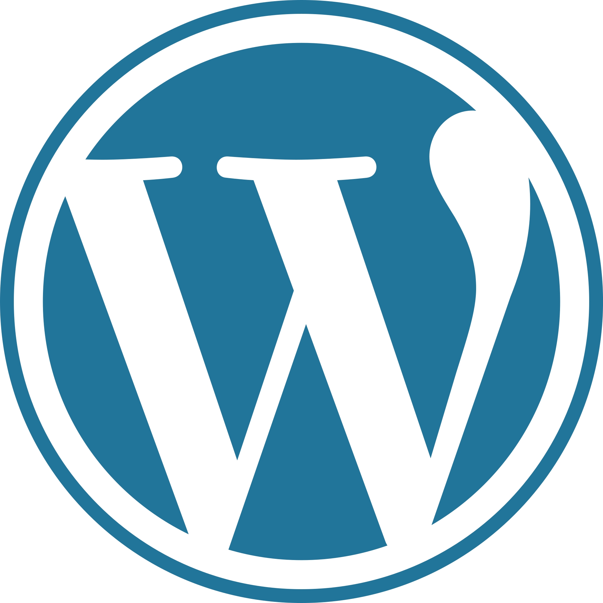 WordPress Theme & Plugin Developer